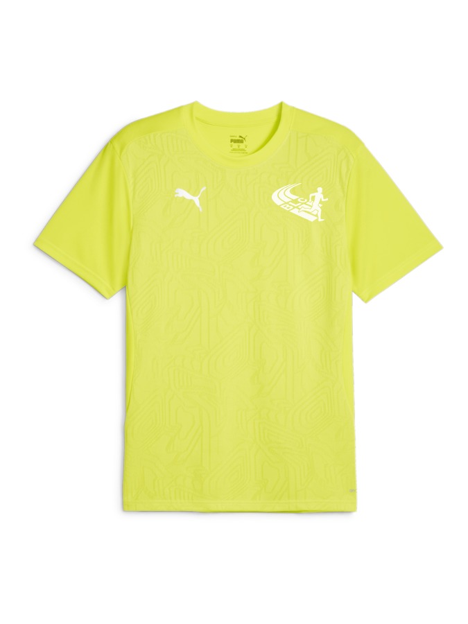 PUMA teamFINAL Trainingsshirt