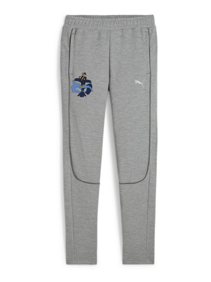 PUMA teamFINAL Casuals Hose