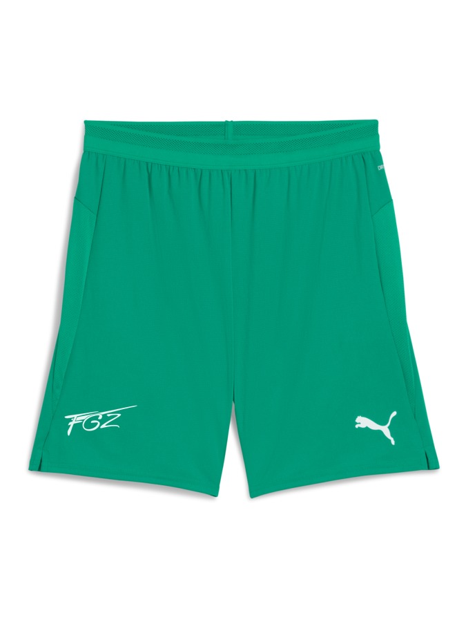 PUMA teamCUP Shorts