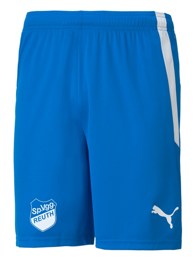 PUMA teamLIGA Shorts