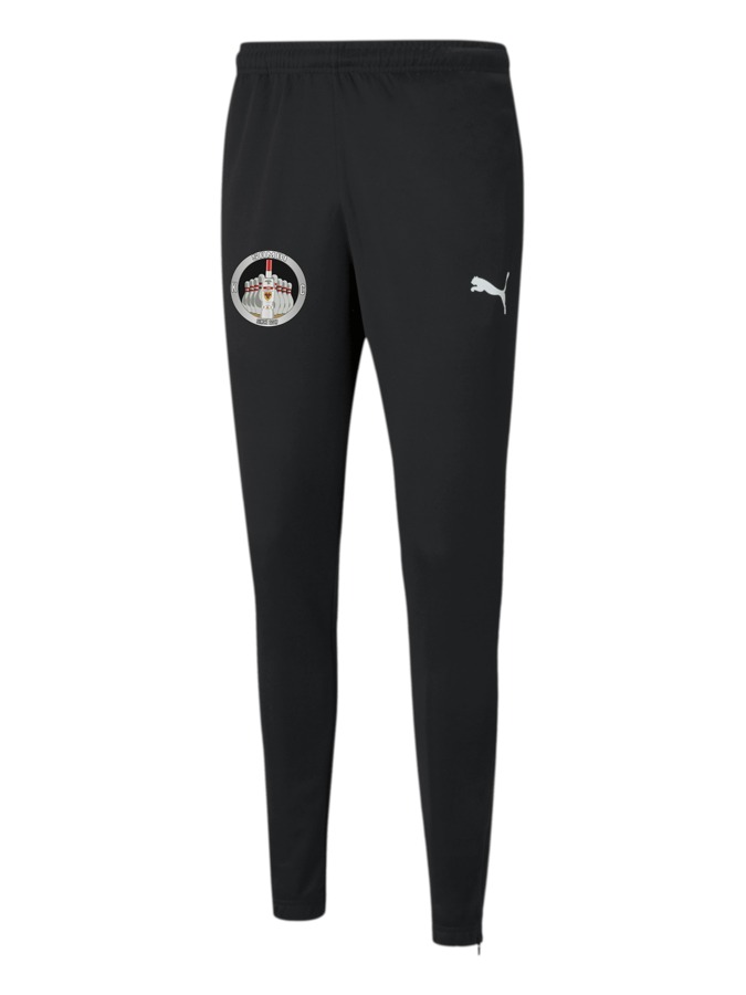 PUMA teamRISE Poly Trainingshose