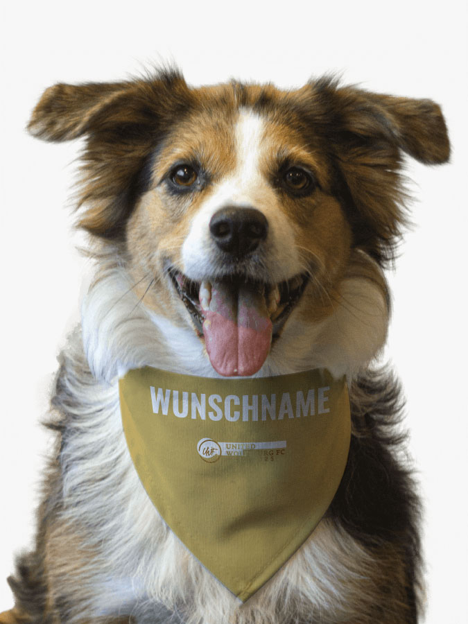 Hundehalstuch