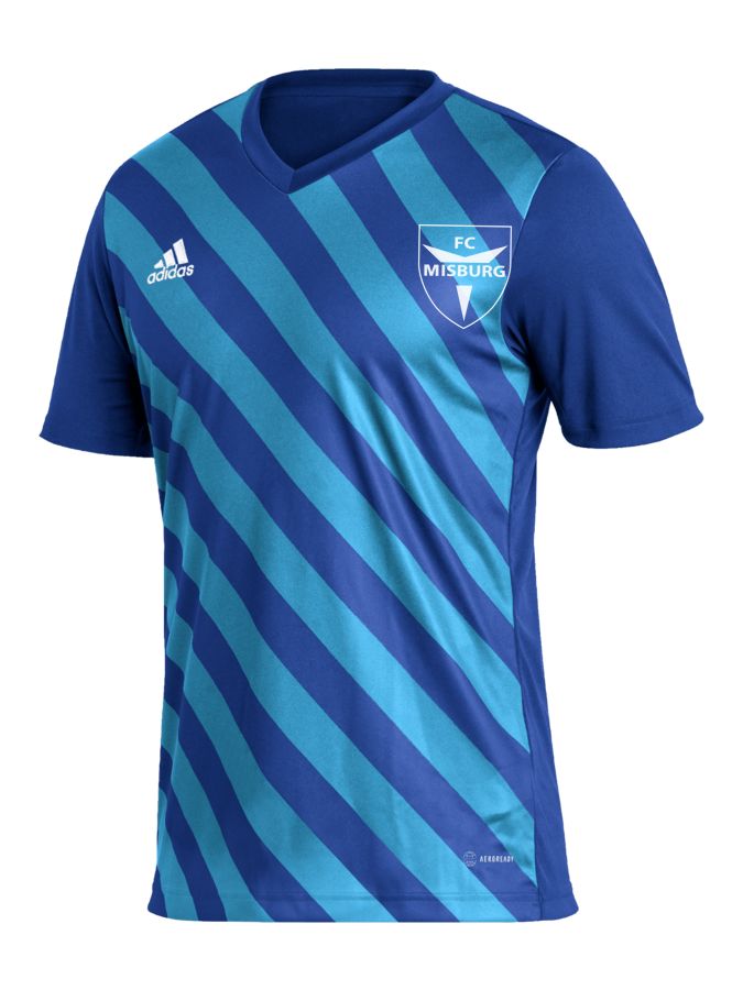 adidas Entrada 22 GFX Trikot