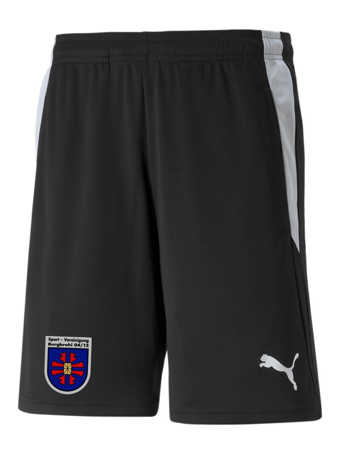 PUMA teamLIGA Referee Shorts
