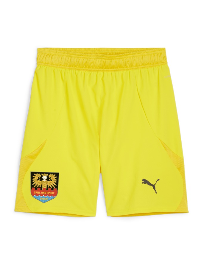PUMA teamFINAL Shorts