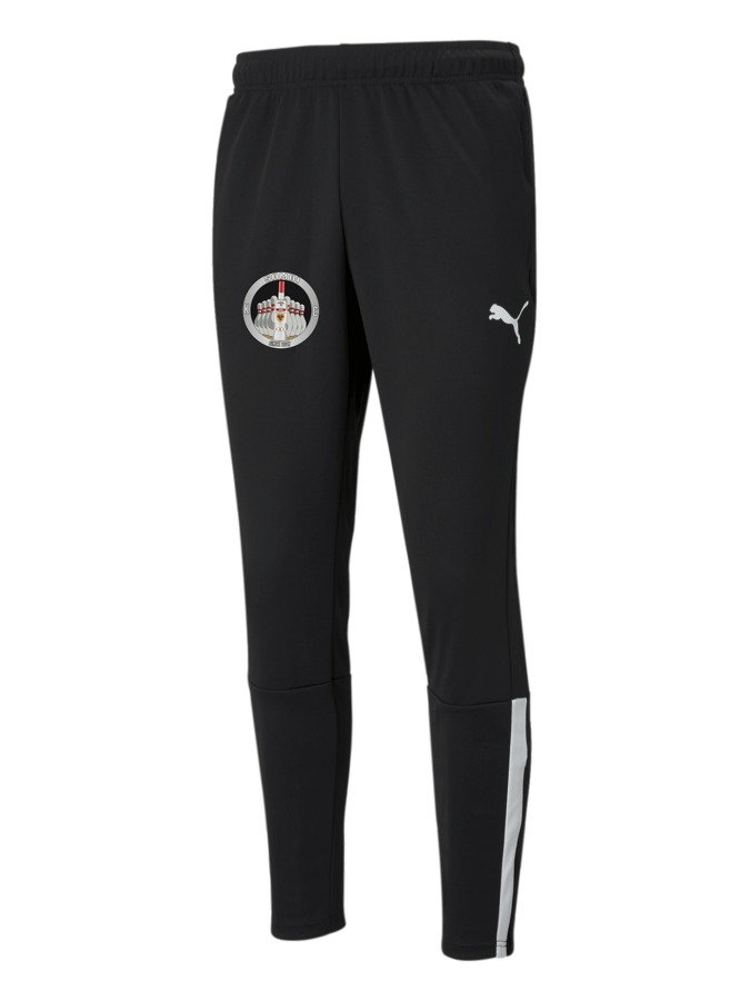 PUMA teamLIGA Trainingshose