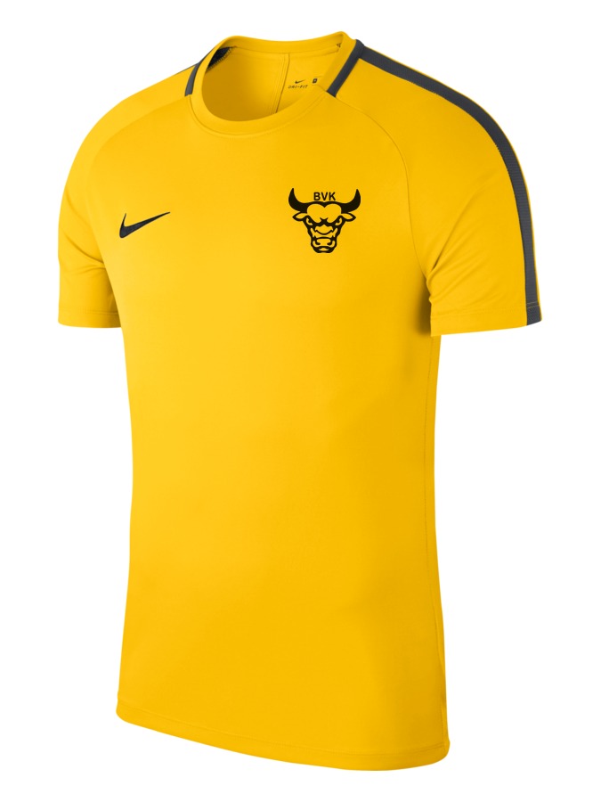 Nike Academy 18 Top