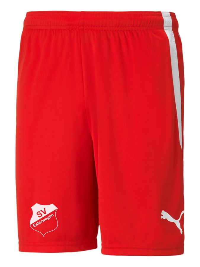 PUMA teamLIGA Shorts