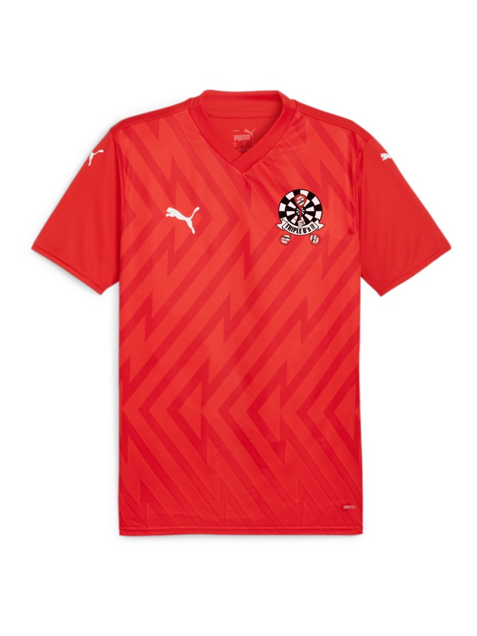 PUMA teamGLORY Trikot