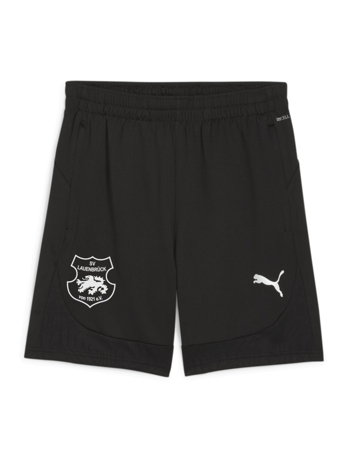 PUMA teamFINAL Training Shorts