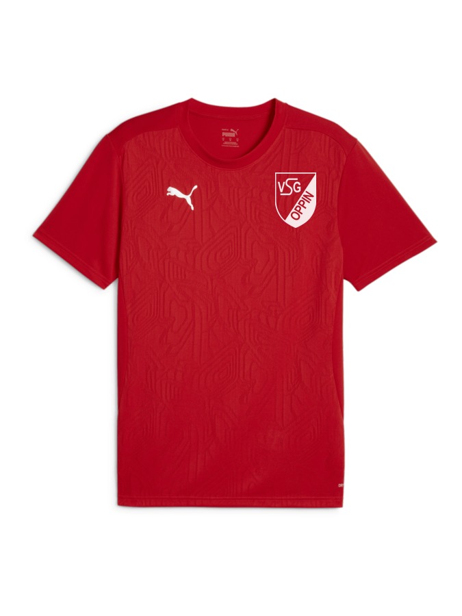 PUMA teamFINAL Trainingsshirt