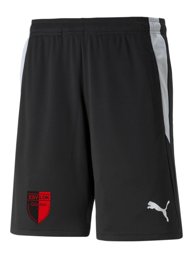 PUMA teamLIGA Referee Shorts