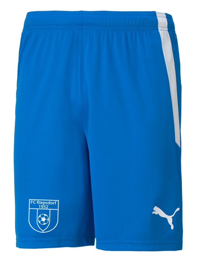 PUMA teamLIGA Shorts