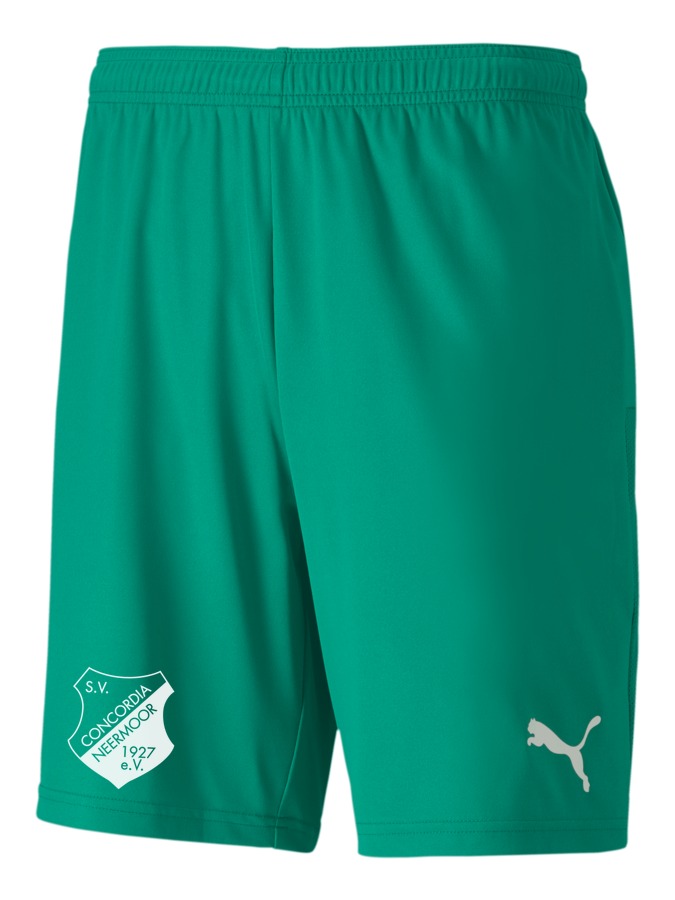 PUMA teamGOAL 23 Knit Shorts