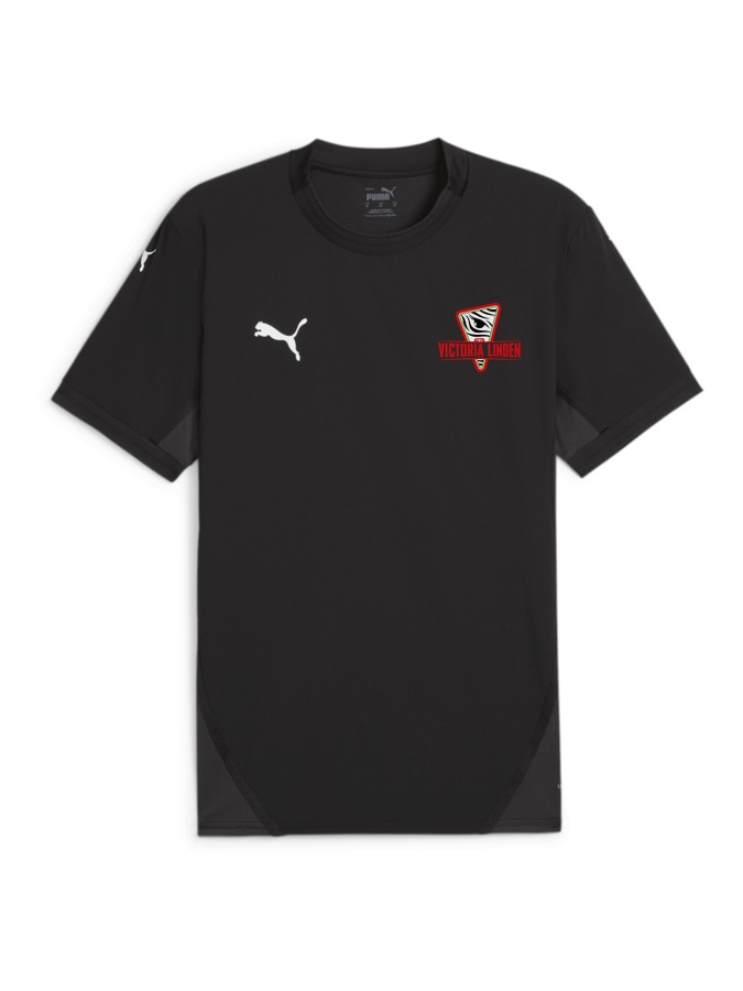 PUMA teamFINAL Trikot