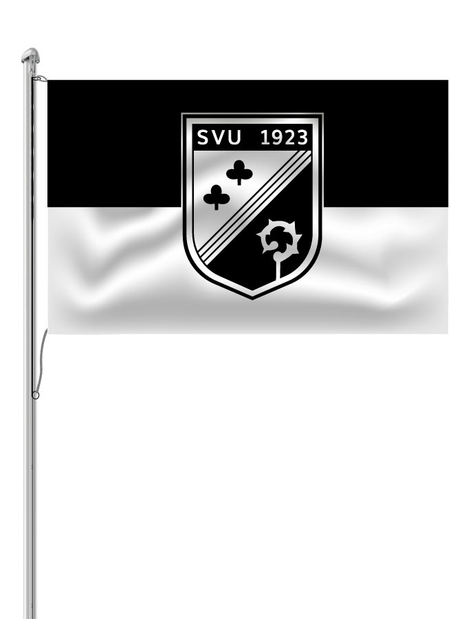 Hissfahne Logo
