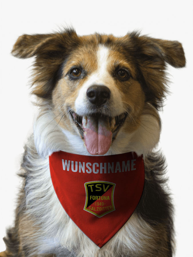 Hundehalstuch
