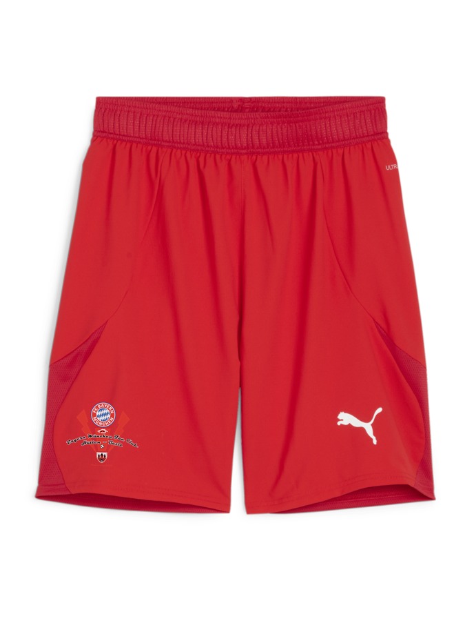 PUMA teamFINAL Shorts