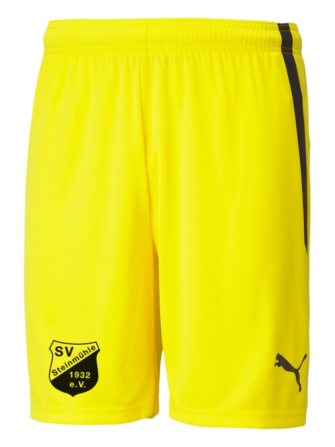 PUMA teamLIGA Shorts