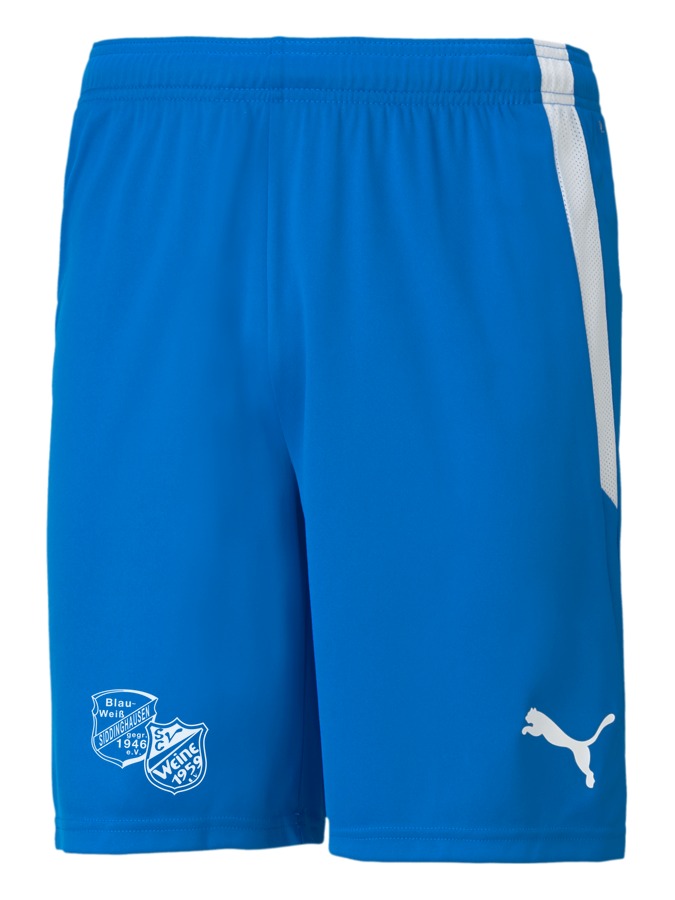 PUMA teamLIGA Shorts