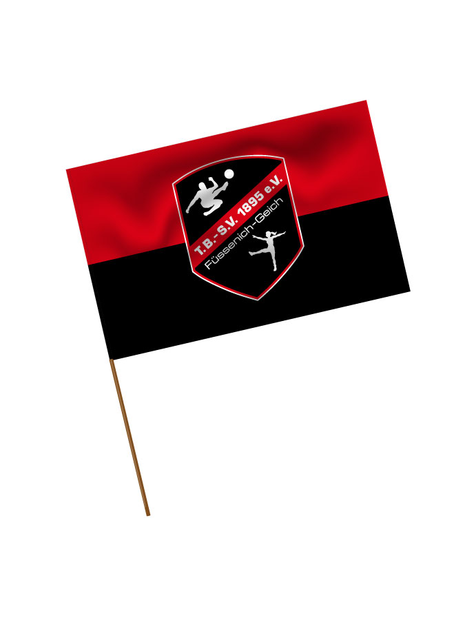 Stadionfahne Logo