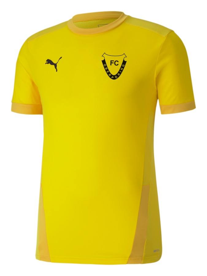 PUMA teamGOAL 23 Trikot