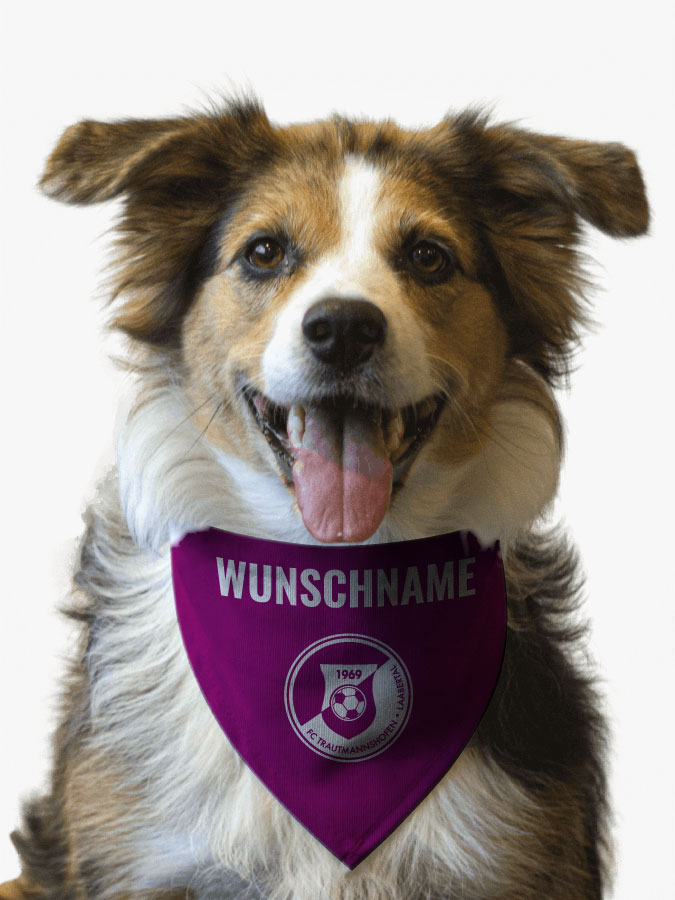 Hundehalstuch