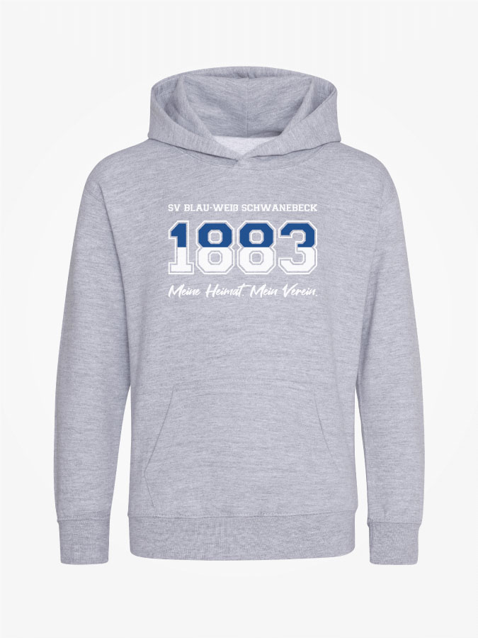 Hoodie Established Kids
