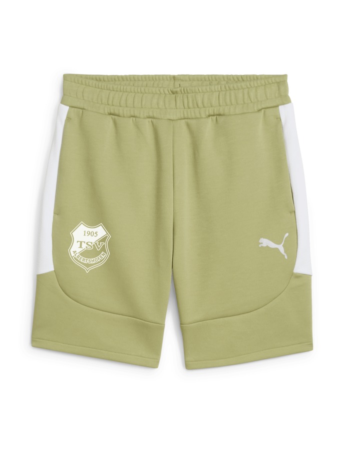 PUMA teamEVOSTRIPE Shorts
