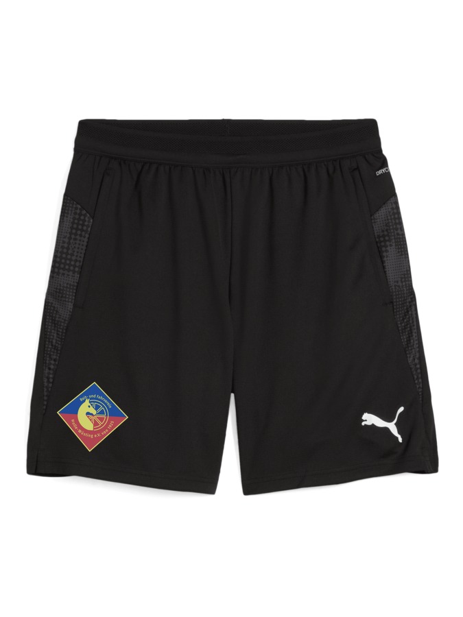 PUMA teamCUP Training Shorts
