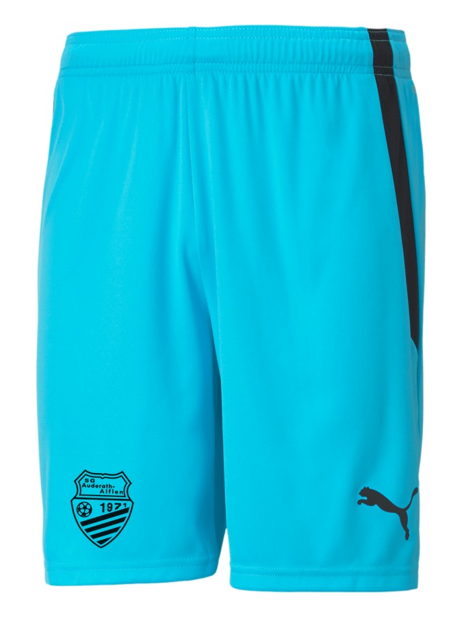 PUMA teamLIGA Shorts