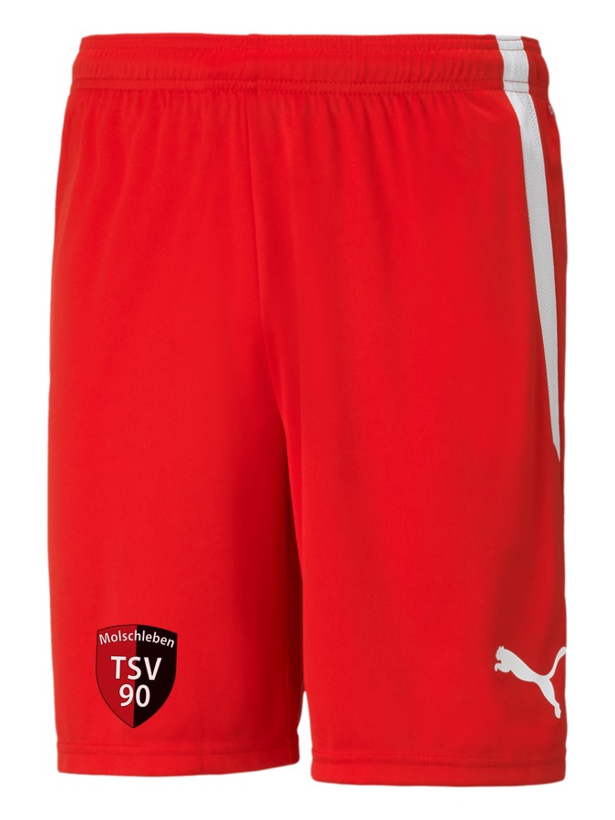 PUMA teamLIGA Shorts