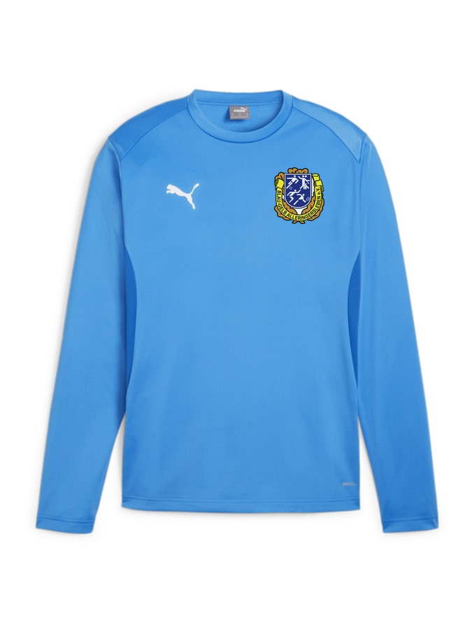 PUMA teamGOAL Training Sweatshirt