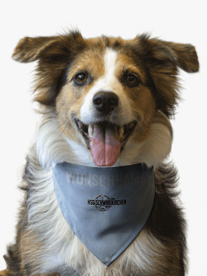 Hundehalstuch