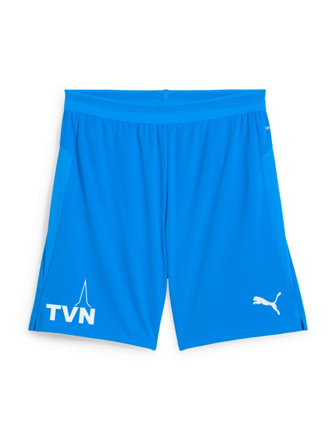 PUMA teamCUP Shorts