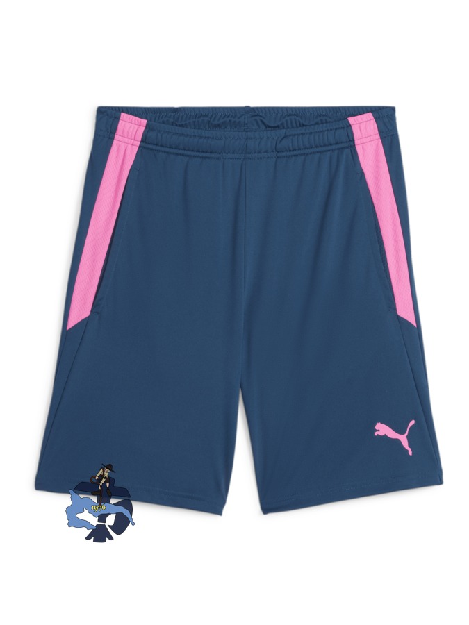 PUMA teamLIGA Training Shorts 2 (Offene Taschen)