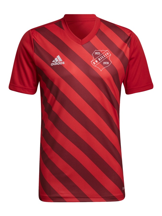 adidas Entrada 22 GFX Trikot