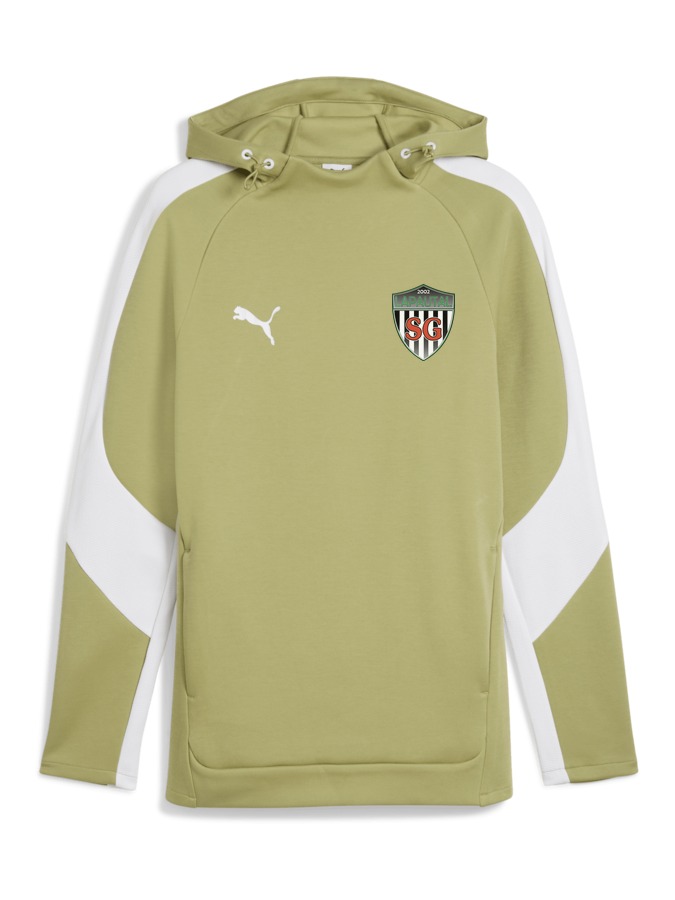PUMA teamEVOSTRIPE Hoody