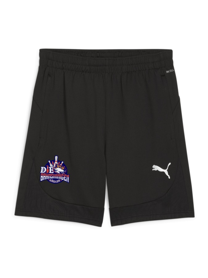 PUMA teamFINAL Training Shorts