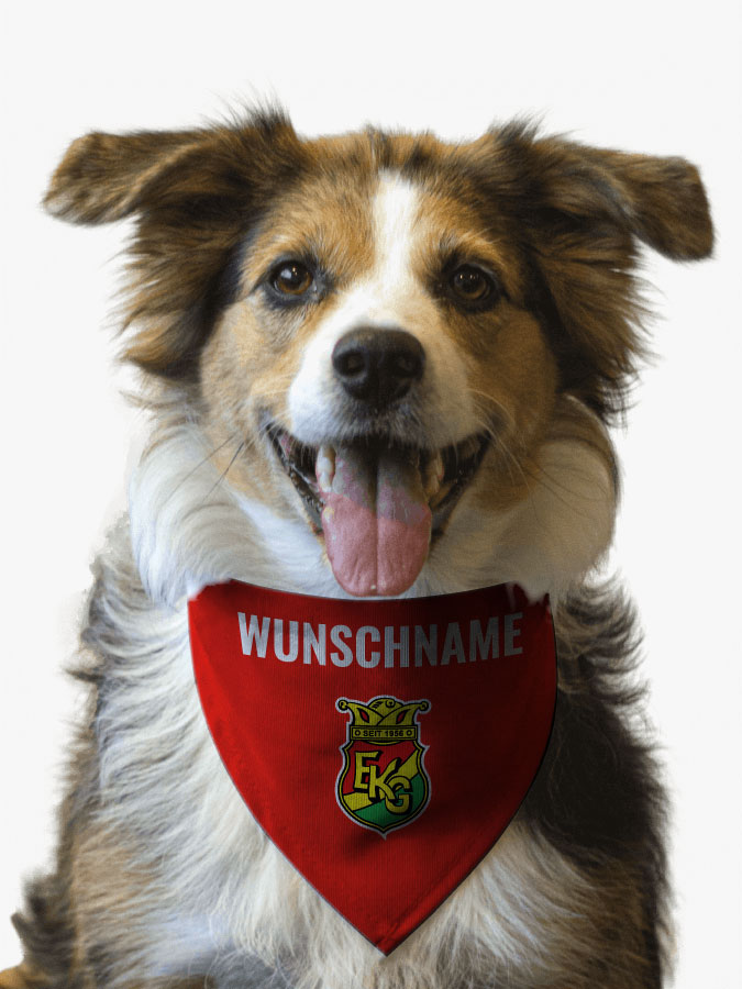 Hundehalstuch