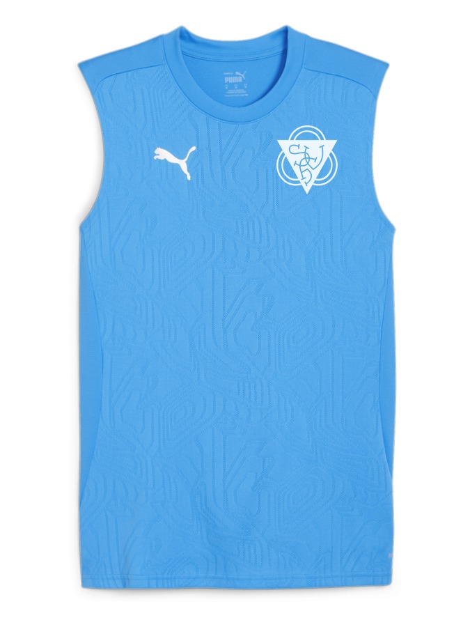 PUMA teamFINAL Trainingstanktop