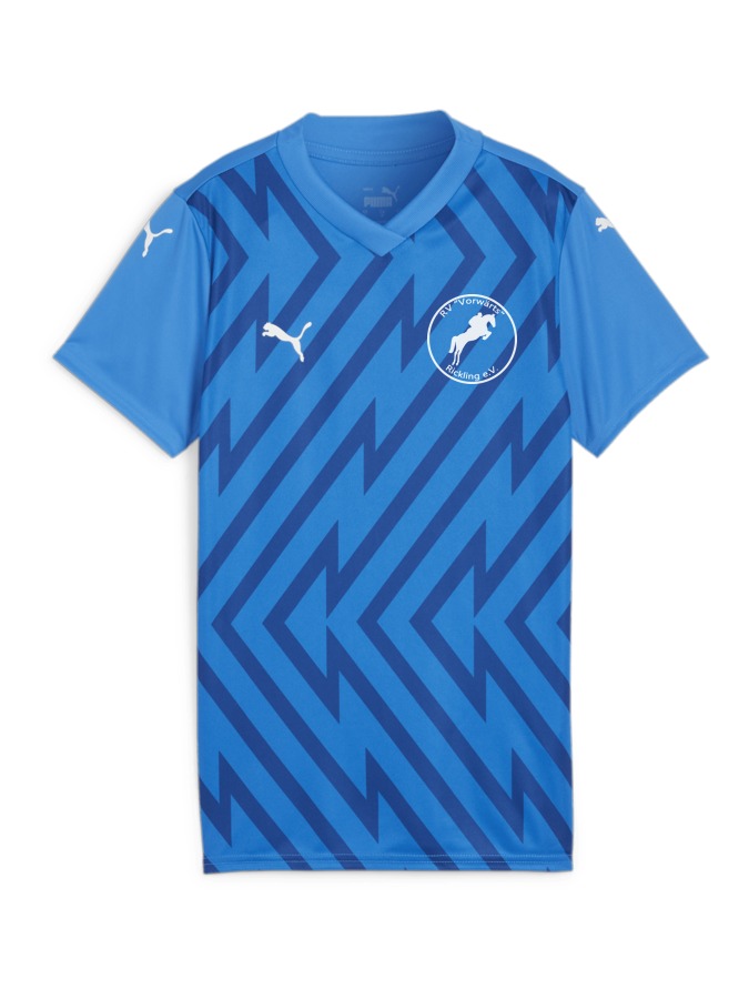 PUMA teamGLORY Trikot Damen