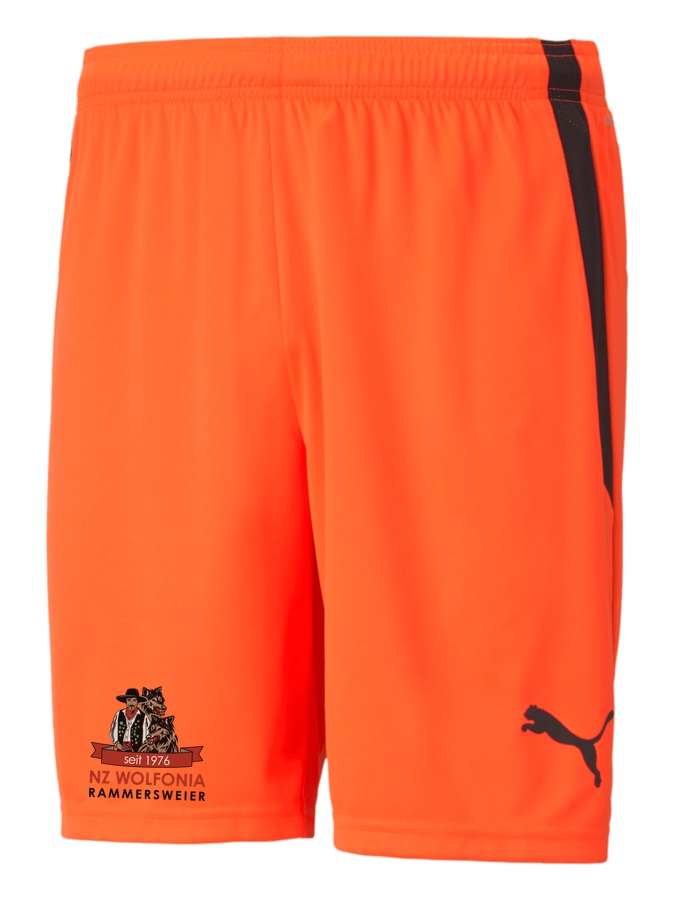 PUMA teamLIGA Shorts