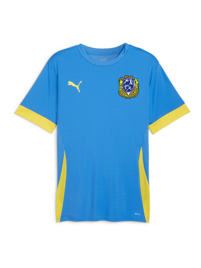 PUMA teamGOAL Matchday Trikot
