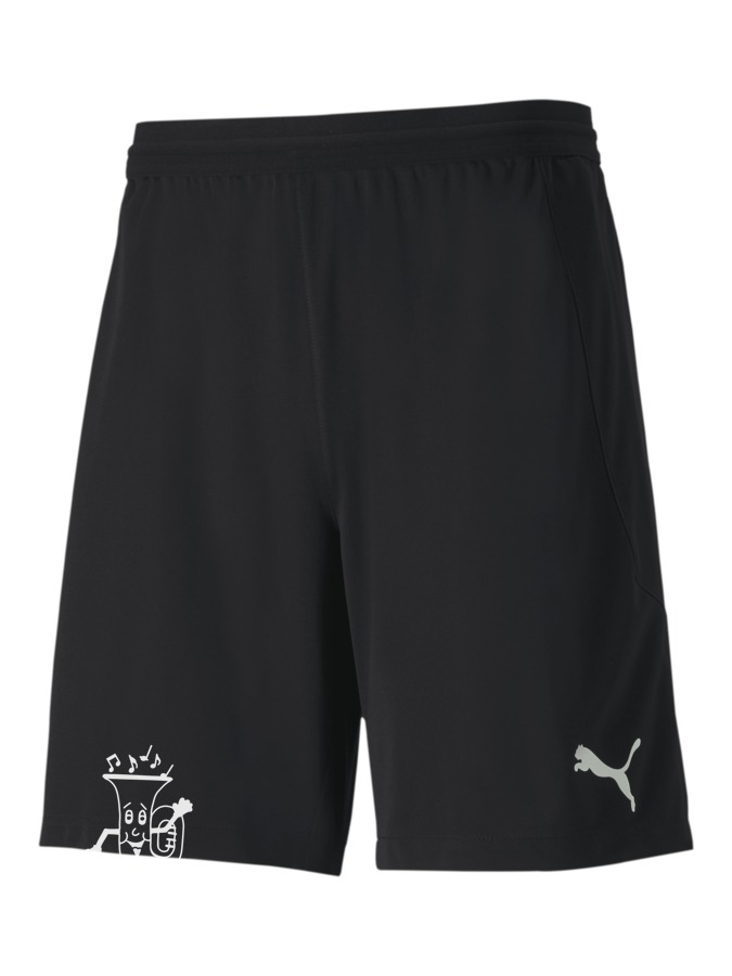 PUMA teamFINAL 21 Knit Shorts