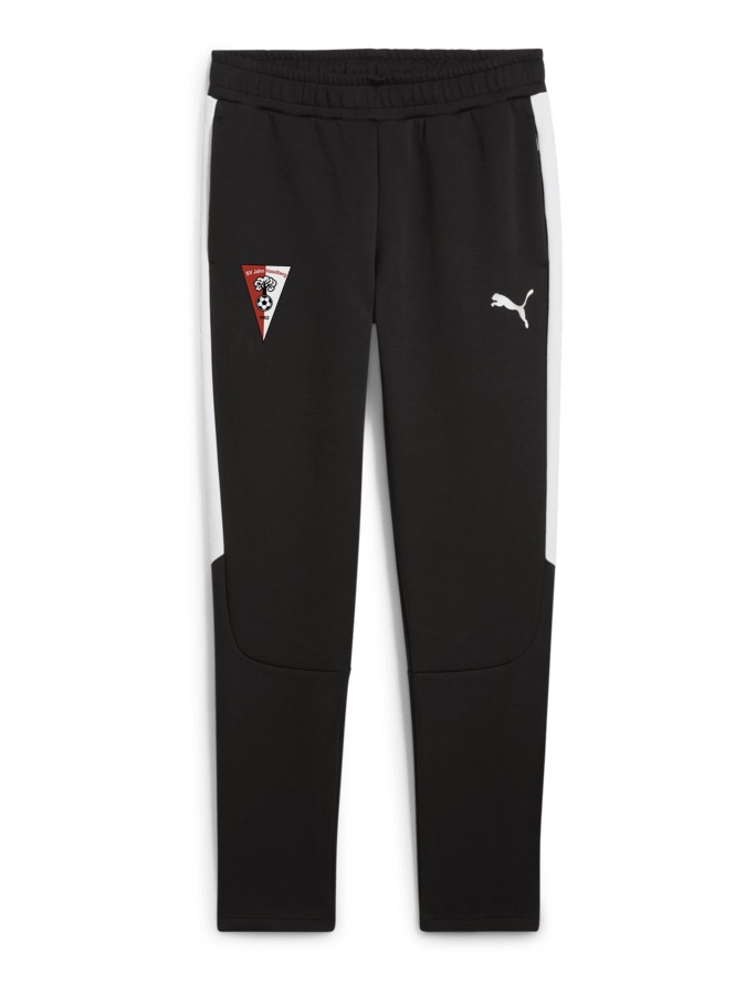 PUMA teamEVOSTRIPE Hose