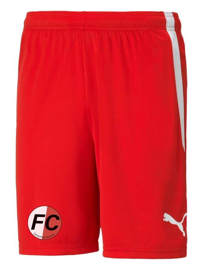 PUMA teamLIGA Shorts