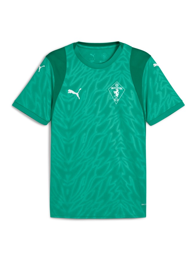 PUMA teamCUP Trikot