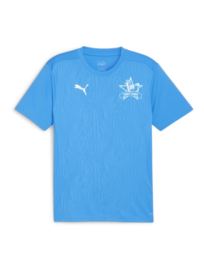 PUMA teamFINAL Trainingsshirt