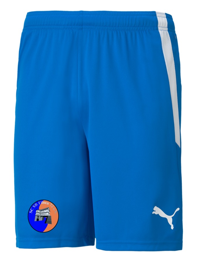 PUMA teamLIGA Shorts